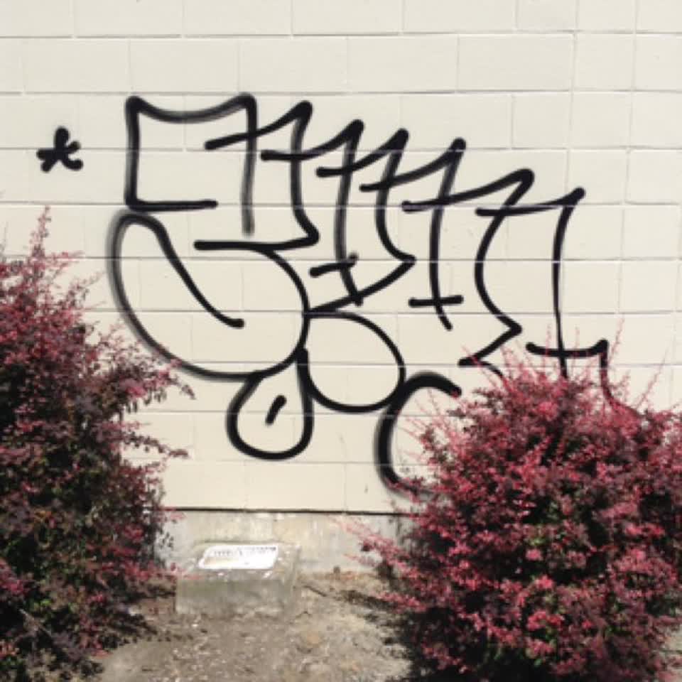 The photograph attached to this graffiti report