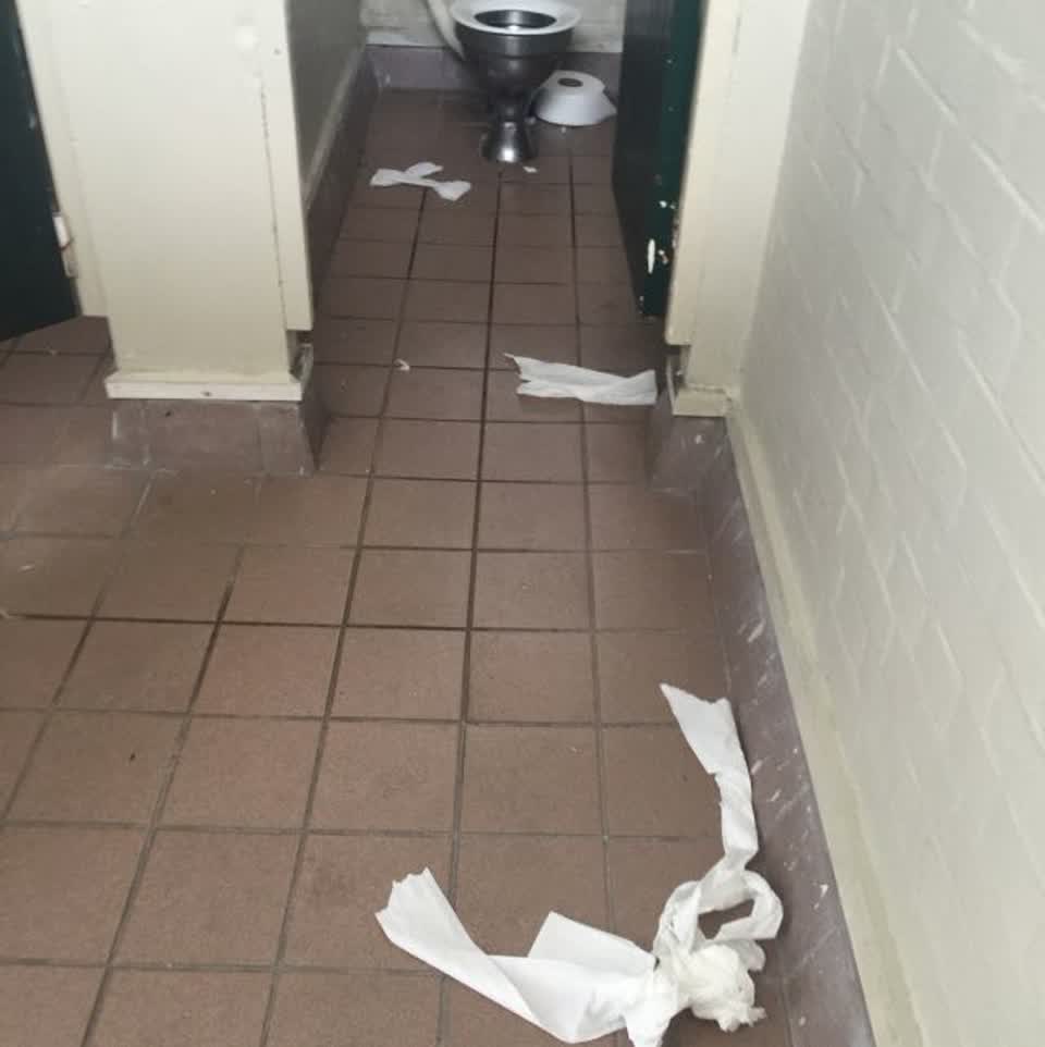 The photograph attached to this parks report