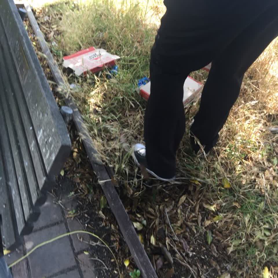 The photograph attached to this rubbish/recycling report