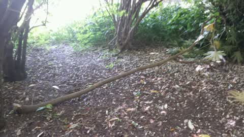 Parks, a report photo