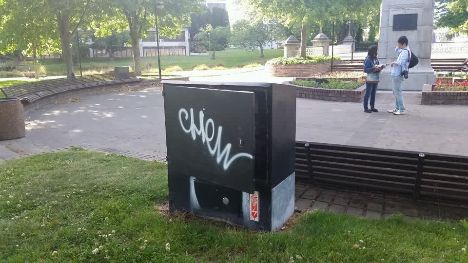 The photograph attached to this parks report