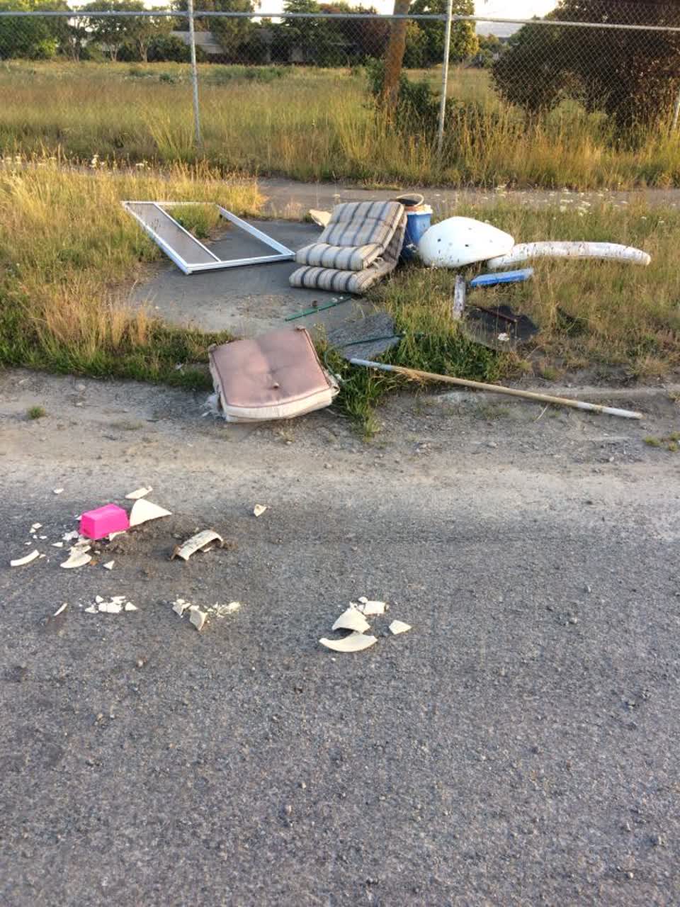 The photograph attached to this rubbish/recycling report