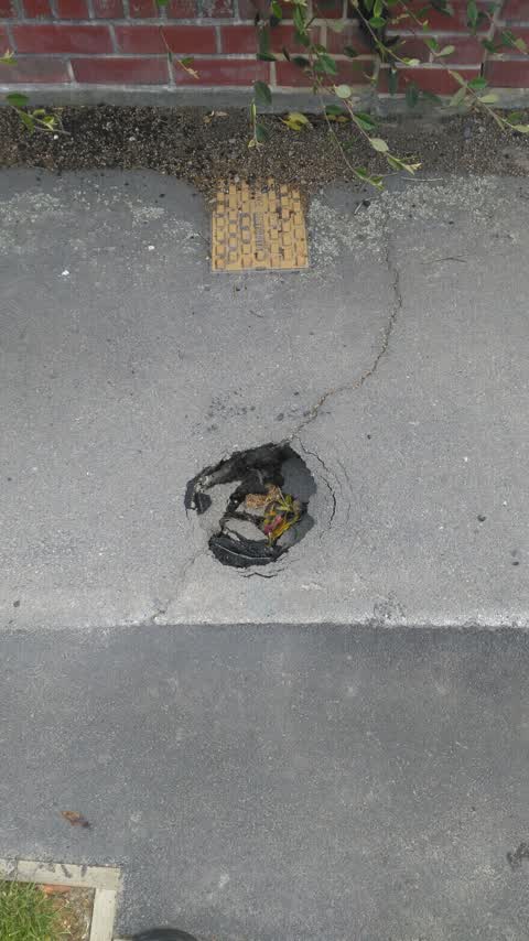Roading/Streets, a report photo