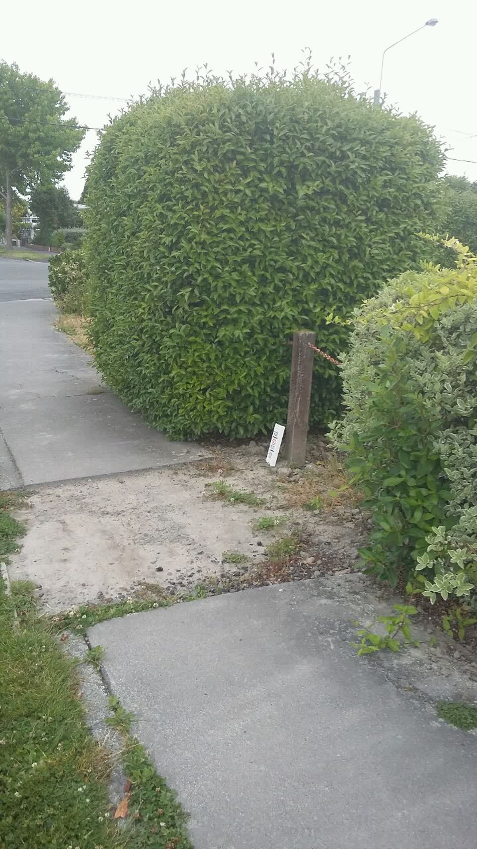 The photograph attached to this roading/streets report
