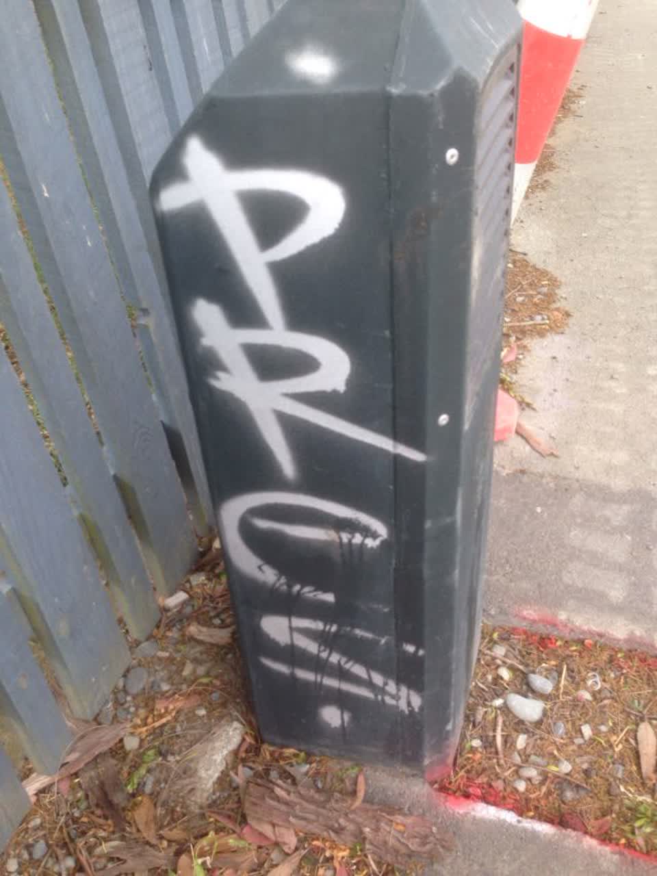 The photograph attached to this graffiti report