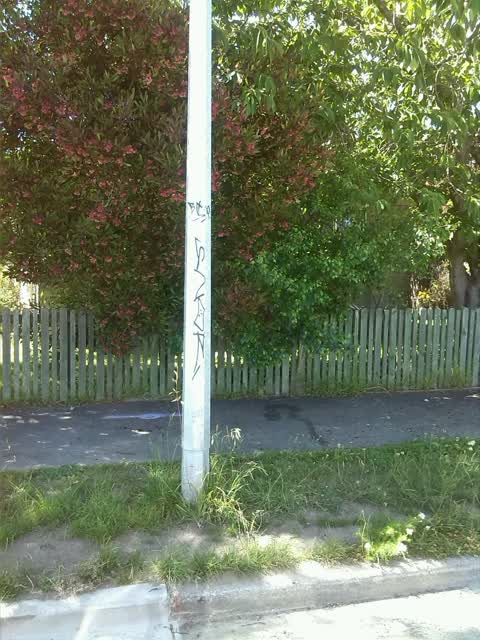Graffiti, a report photo