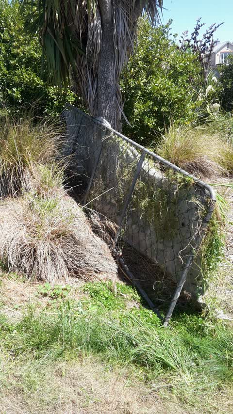Parks, a report photo