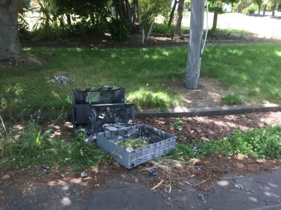 The photograph attached to this rubbish/recycling report