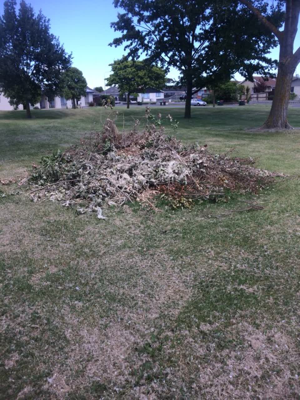 The photograph attached to this parks report