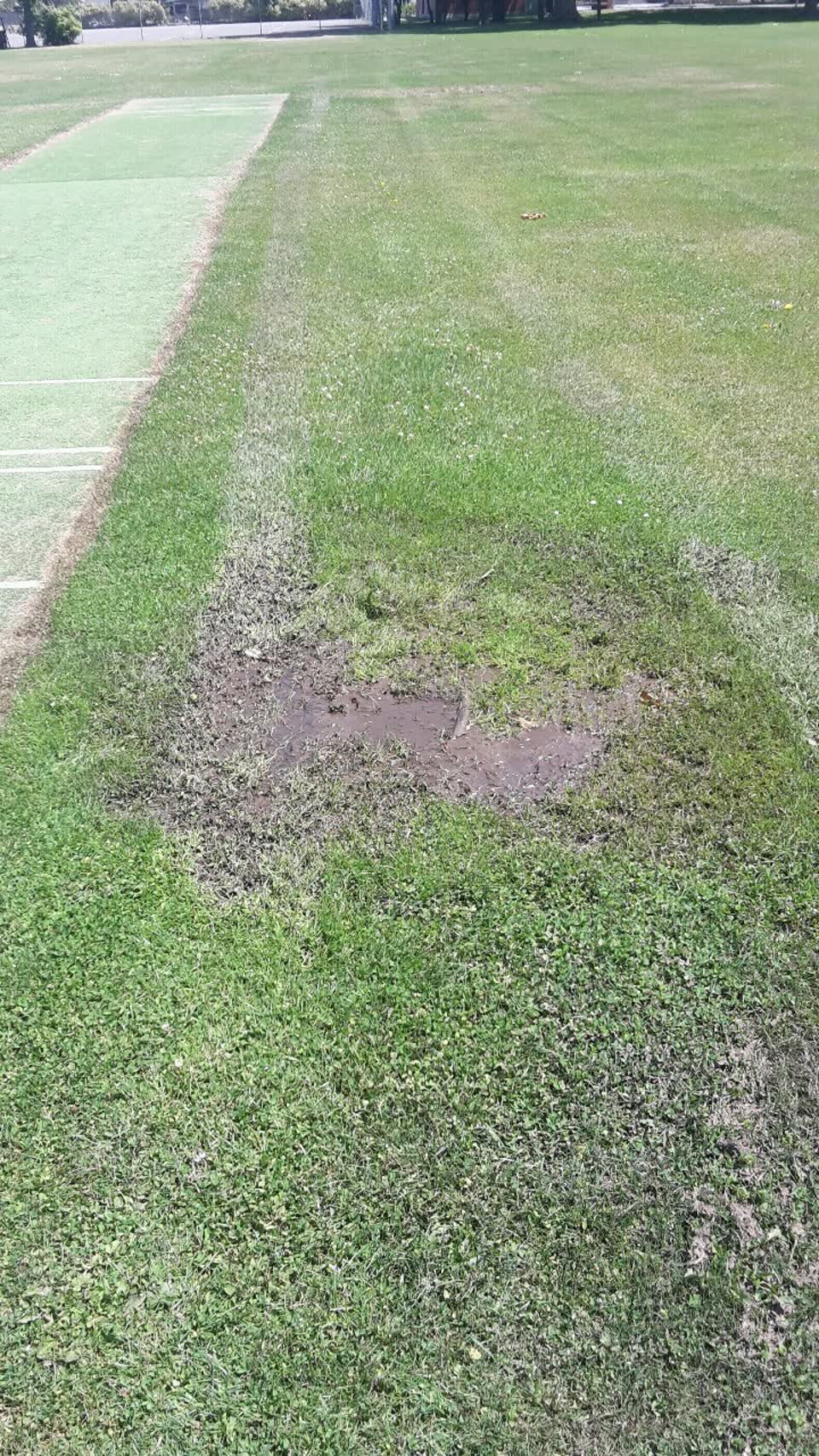 The photograph attached to this parks report