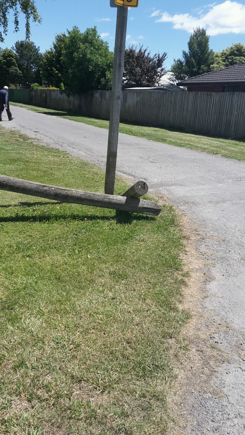 The photograph attached to this parks report
