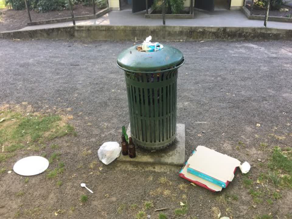 The photograph attached to this rubbish/recycling report
