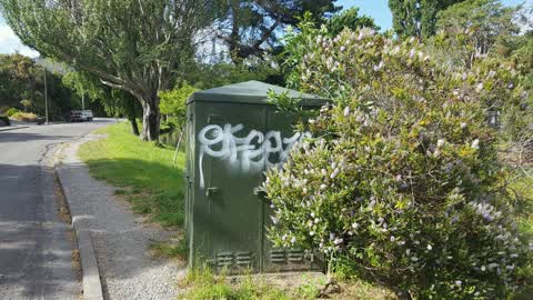 Graffiti, a report photo