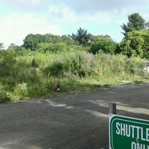 Rubbish/Recycling — a report photo
