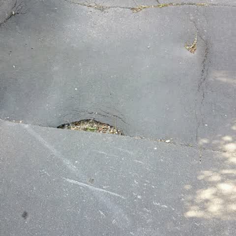 Roading/Streets — a report photo