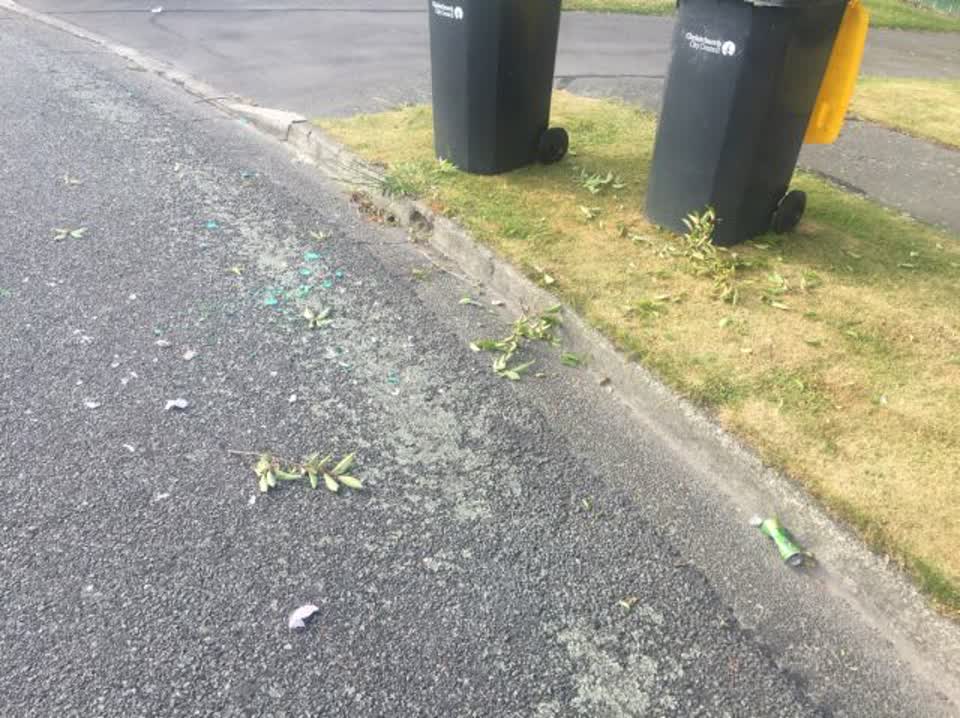 The photograph attached to this rubbish/recycling report