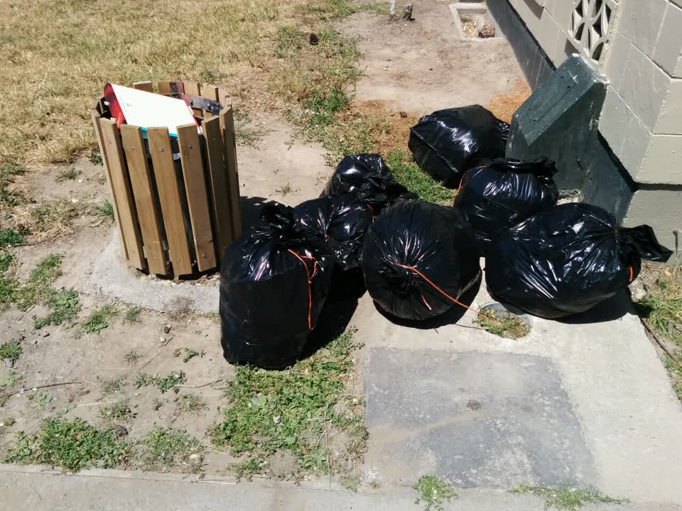 The photograph attached to this parks report