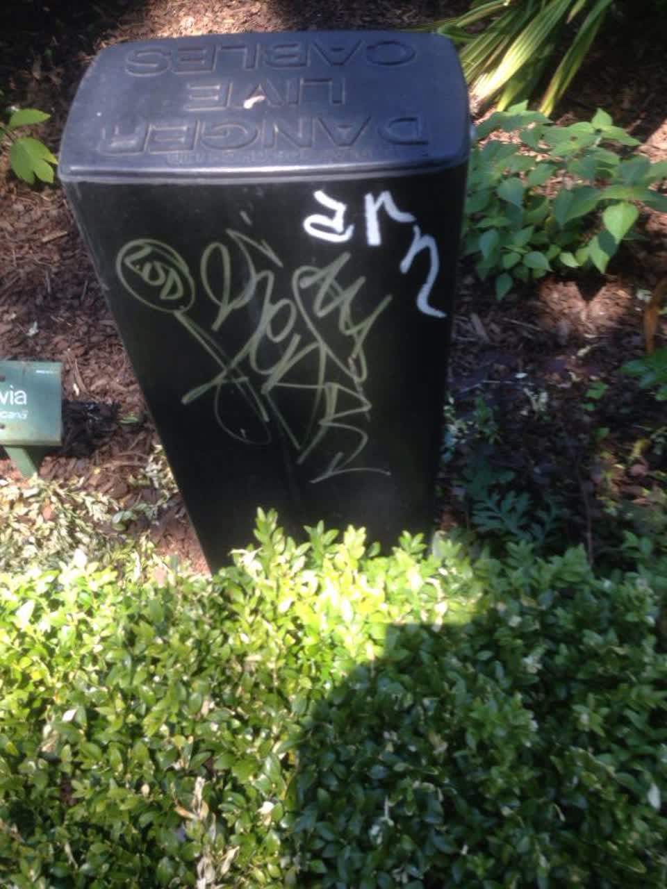 The photograph attached to this graffiti report