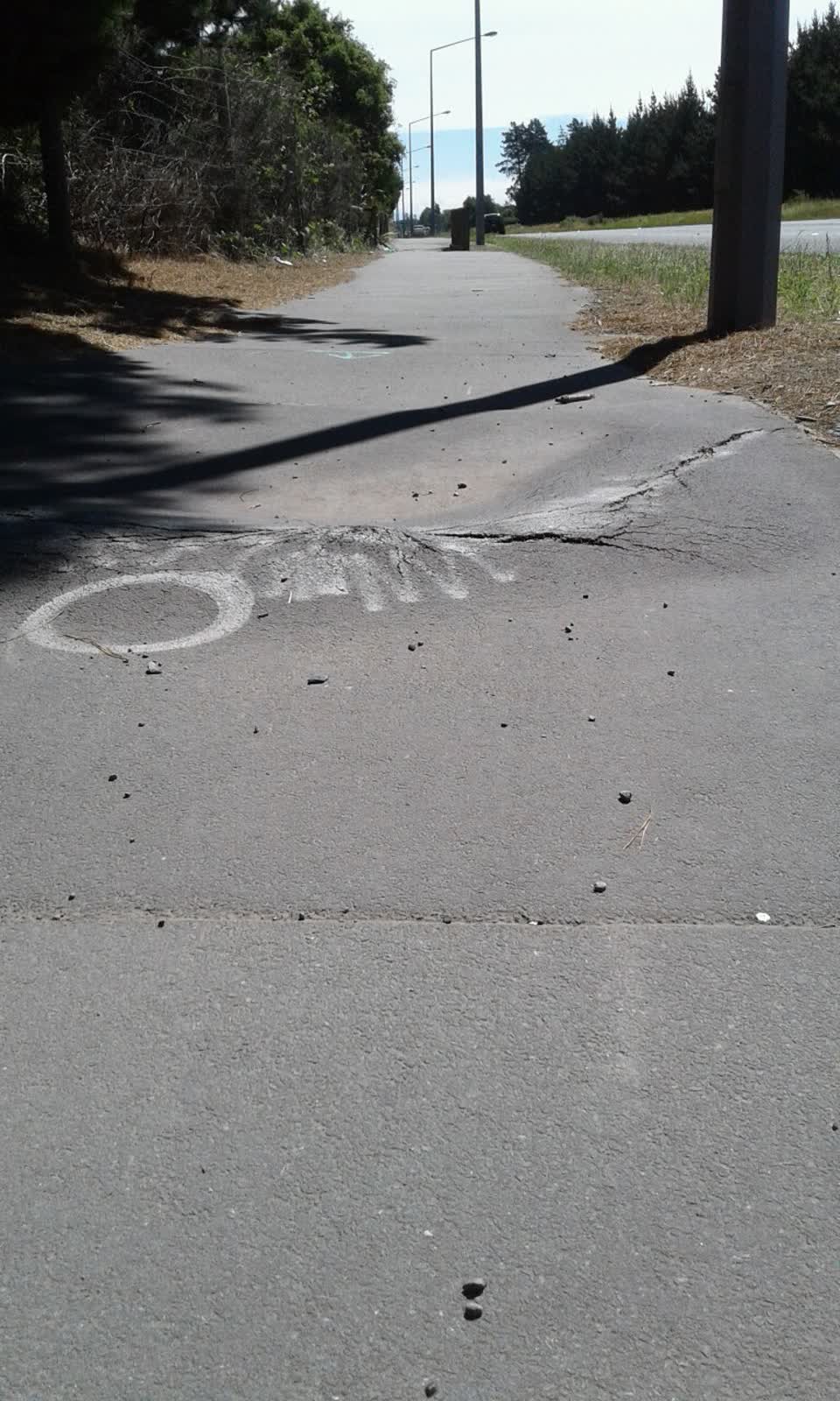The photograph attached to this roading/streets report