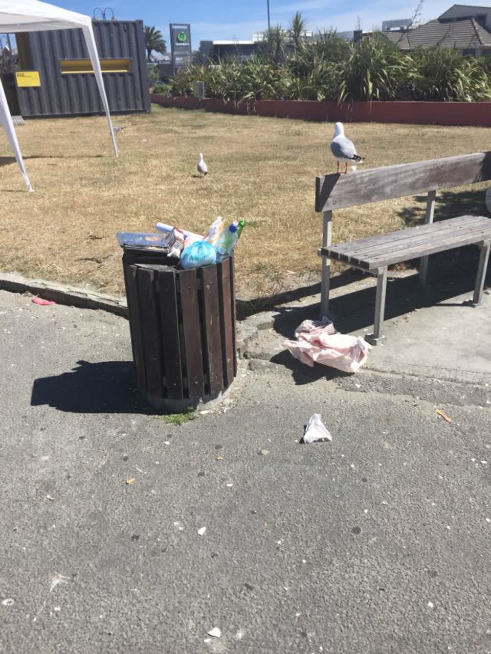 The photograph attached to this rubbish/recycling report