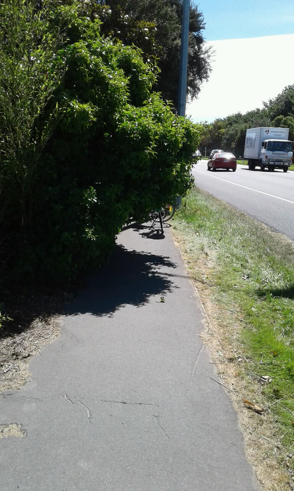 The photograph attached to this roading/streets report