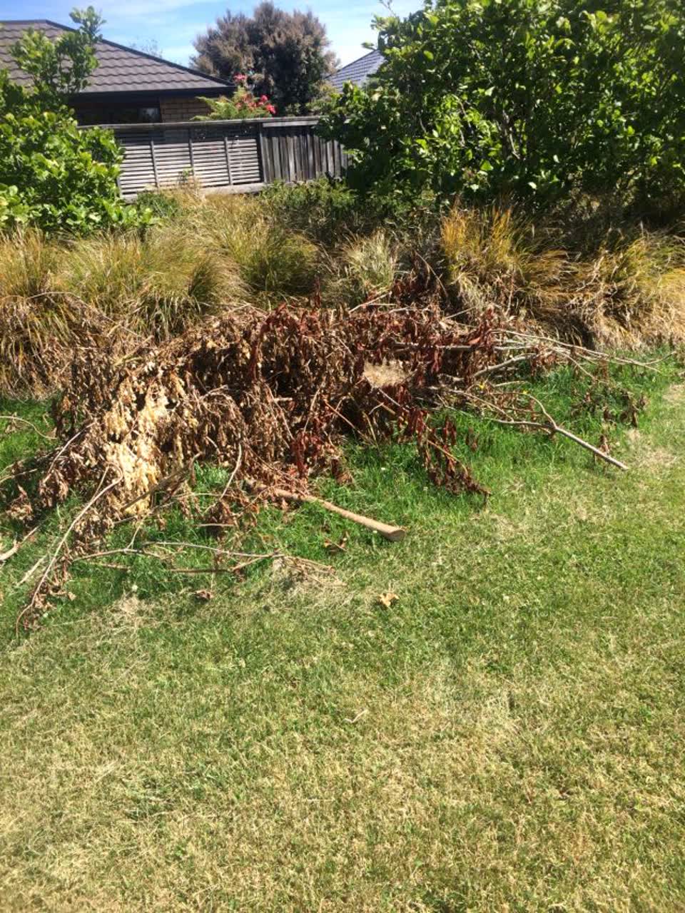 The photograph attached to this parks report