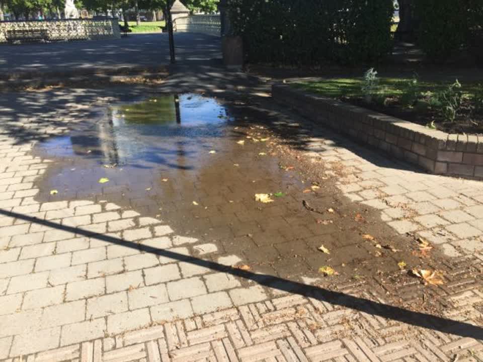The photograph attached to this water supply report