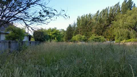 Roading/Streets, a report photo