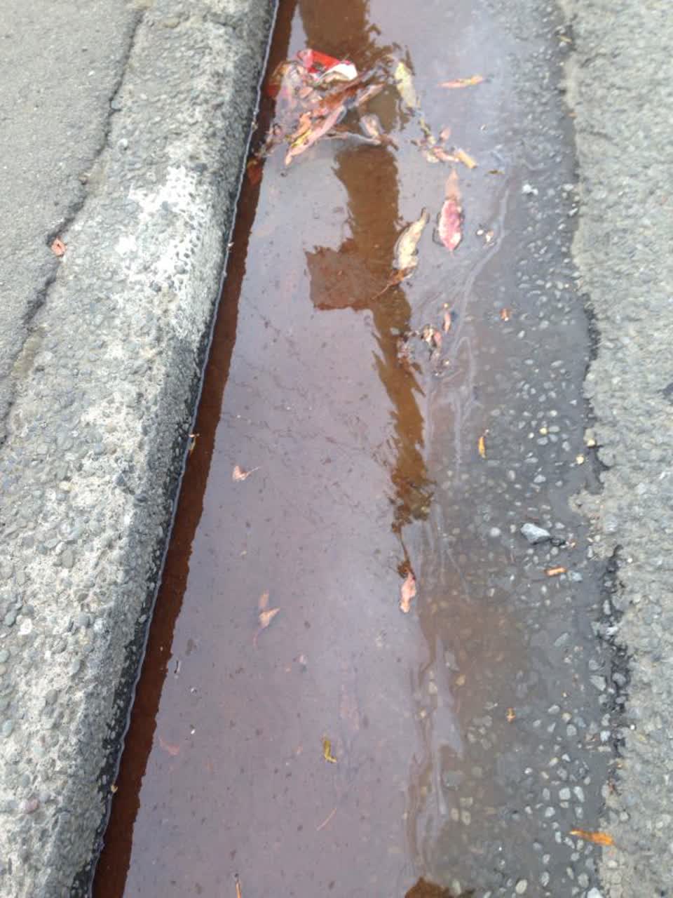 The photograph attached to this wastewater/stormwater report