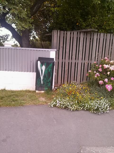 Graffiti, a report photo