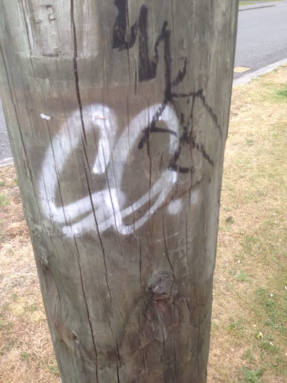 The photograph attached to this graffiti report
