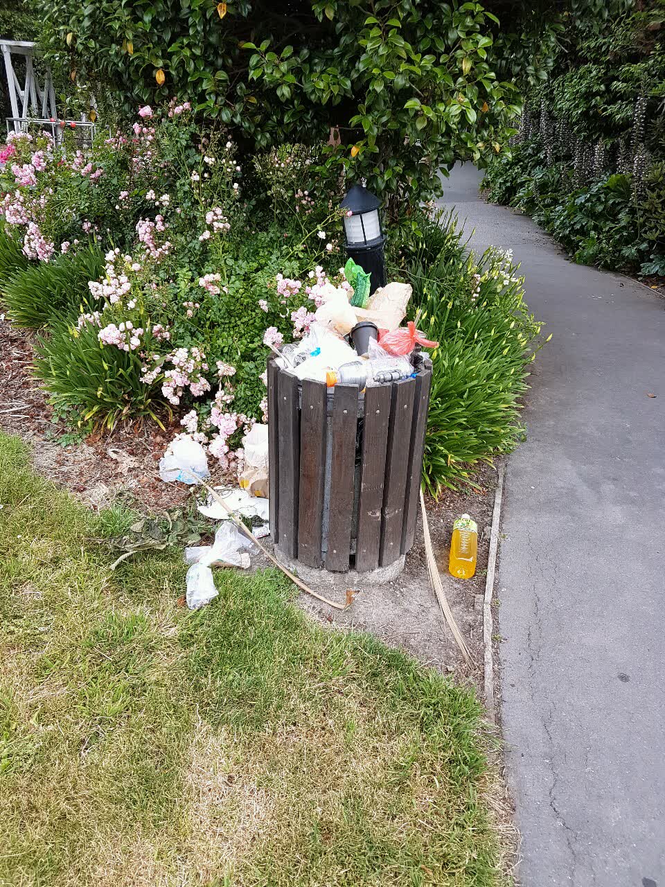 The photograph attached to this rubbish/recycling report