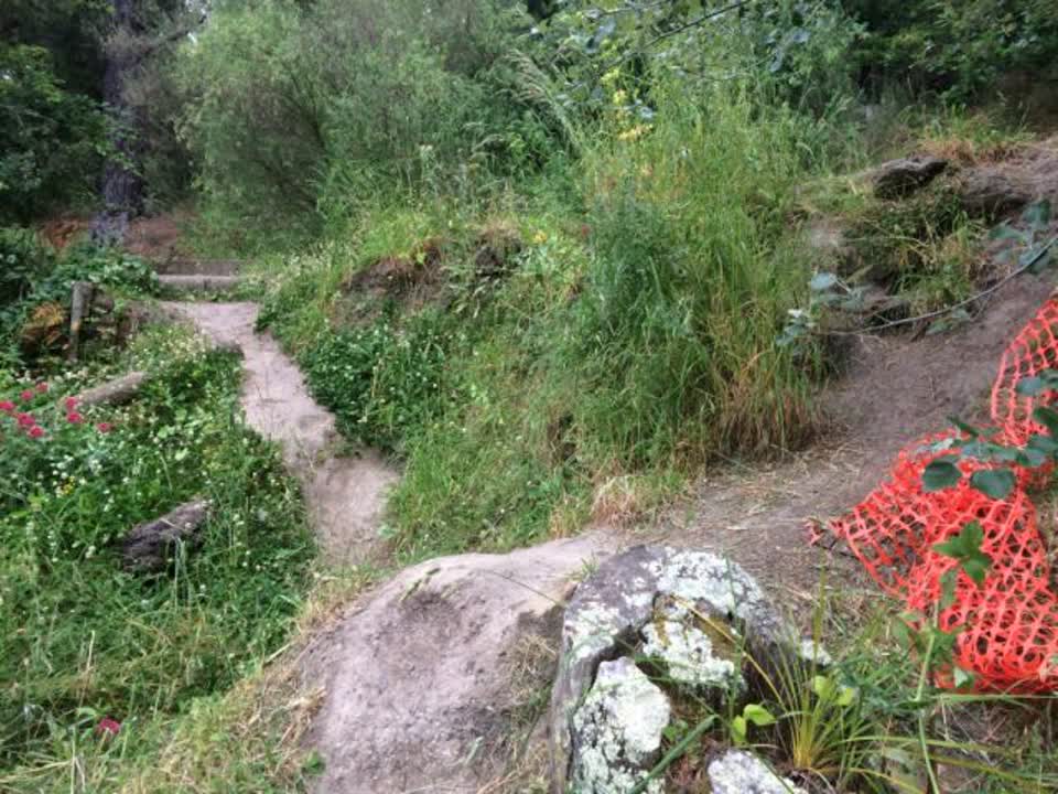 The photograph attached to this parks report