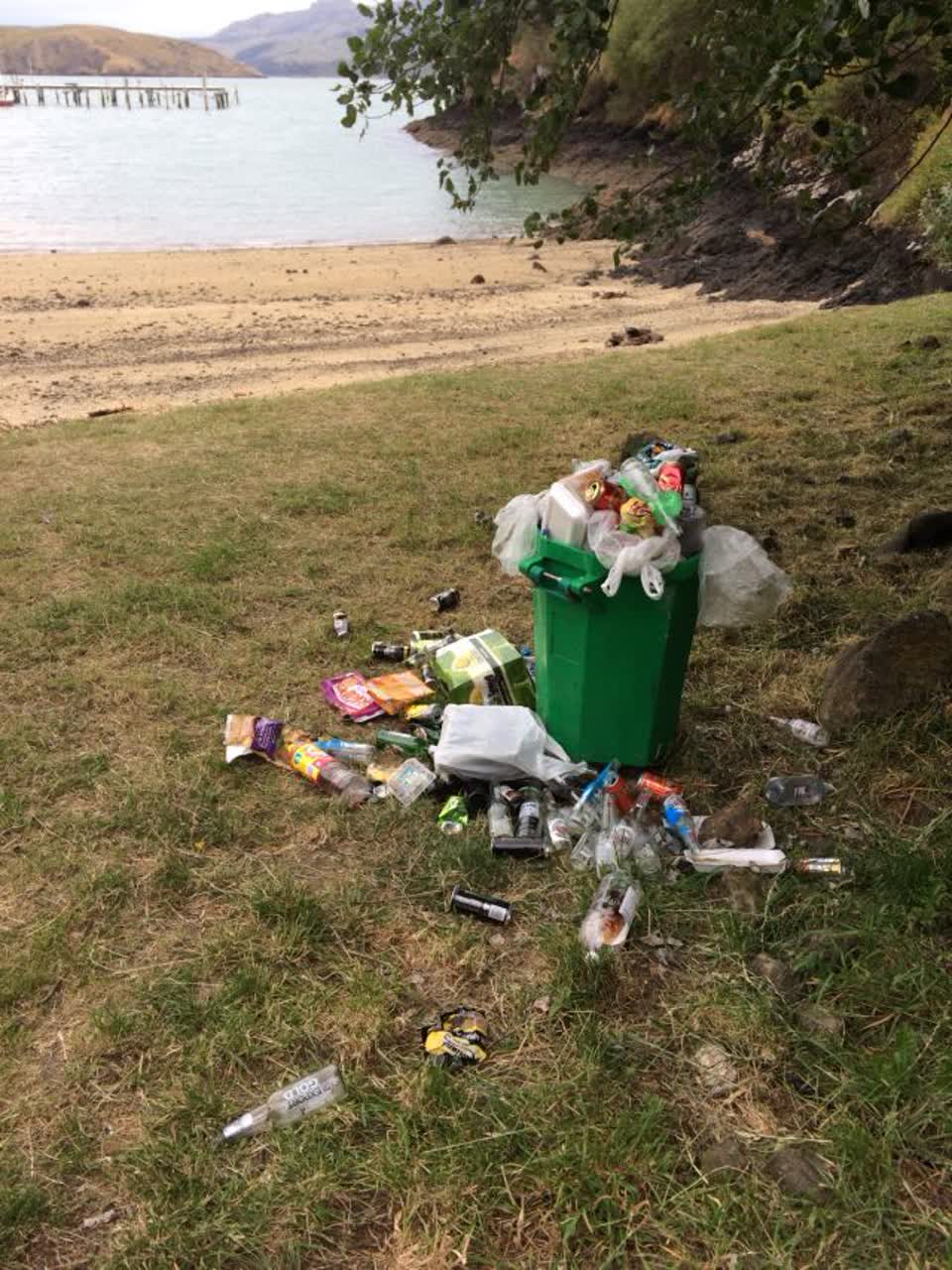 The photograph attached to this rubbish/recycling report