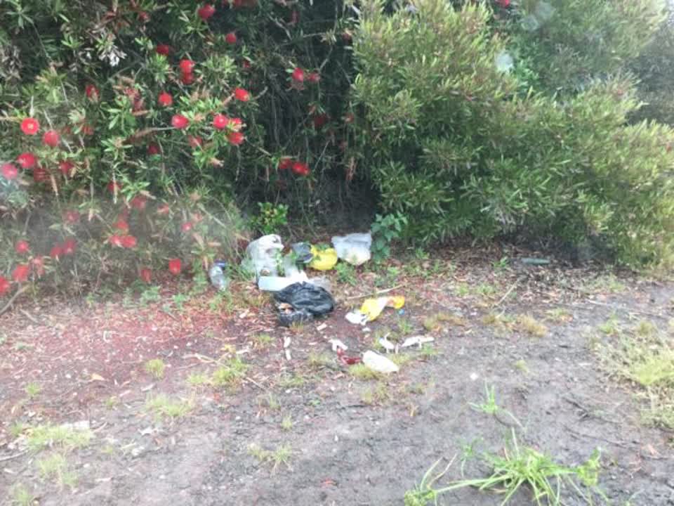 The photograph attached to this rubbish/recycling report