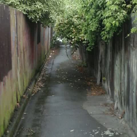 Roading/Streets — a report photo