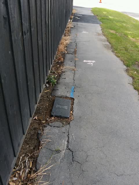Roading/Streets, a report photo