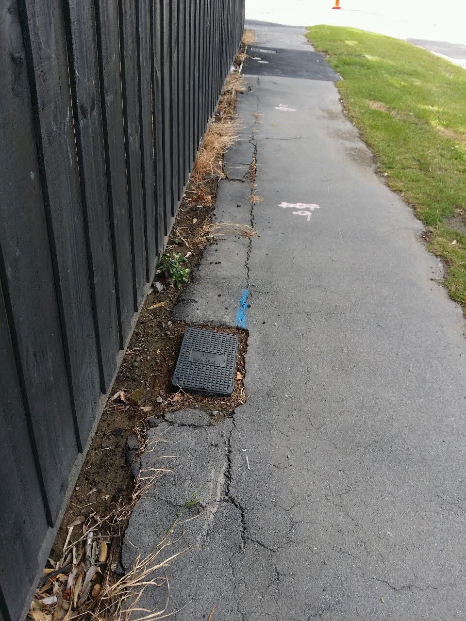 The photograph attached to this roading/streets report