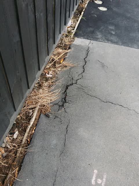 Roading/Streets, a report photo