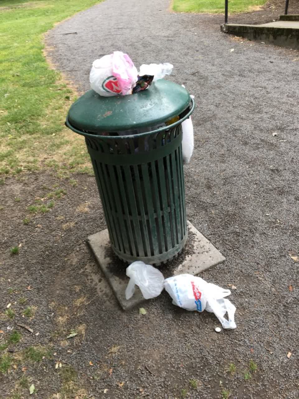 The photograph attached to this rubbish/recycling report