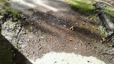 Water Supply, a report photo