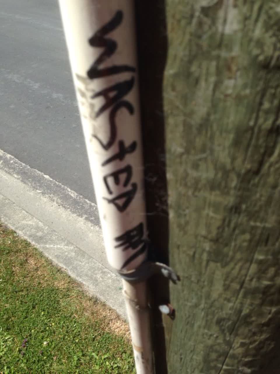 The photograph attached to this graffiti report