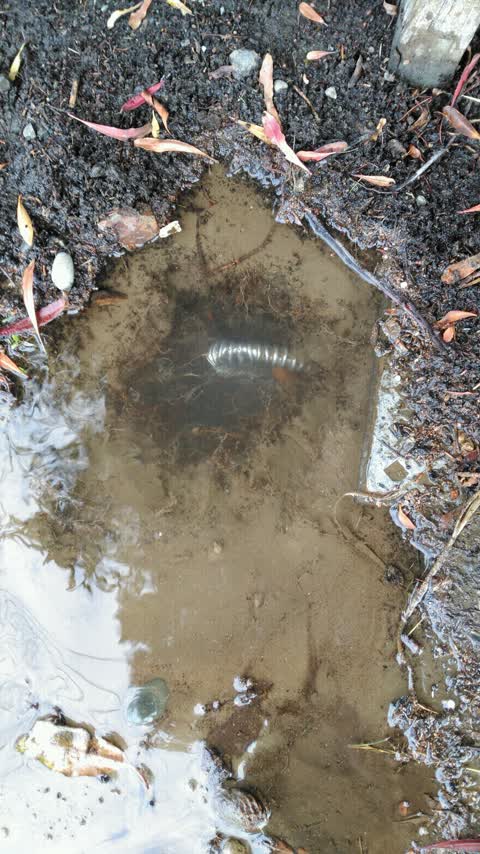 Water Supply, a report photo