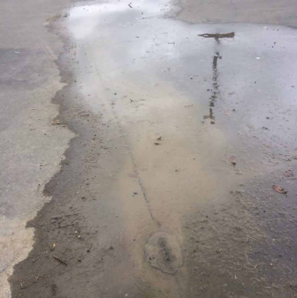The photograph attached to this water supply report