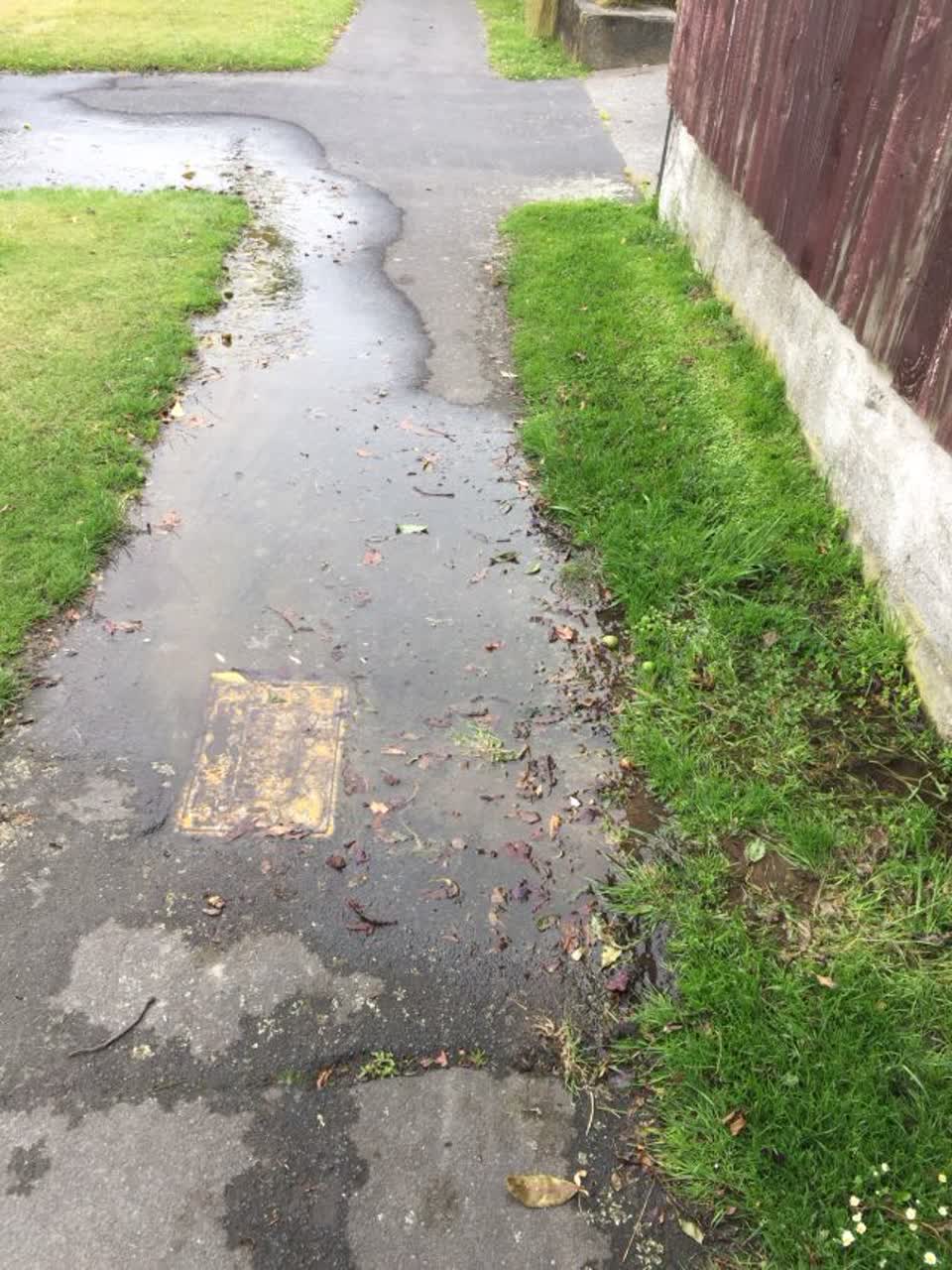 The photograph attached to this water supply report