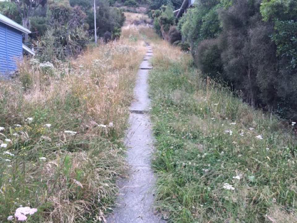 The photograph attached to this parks report