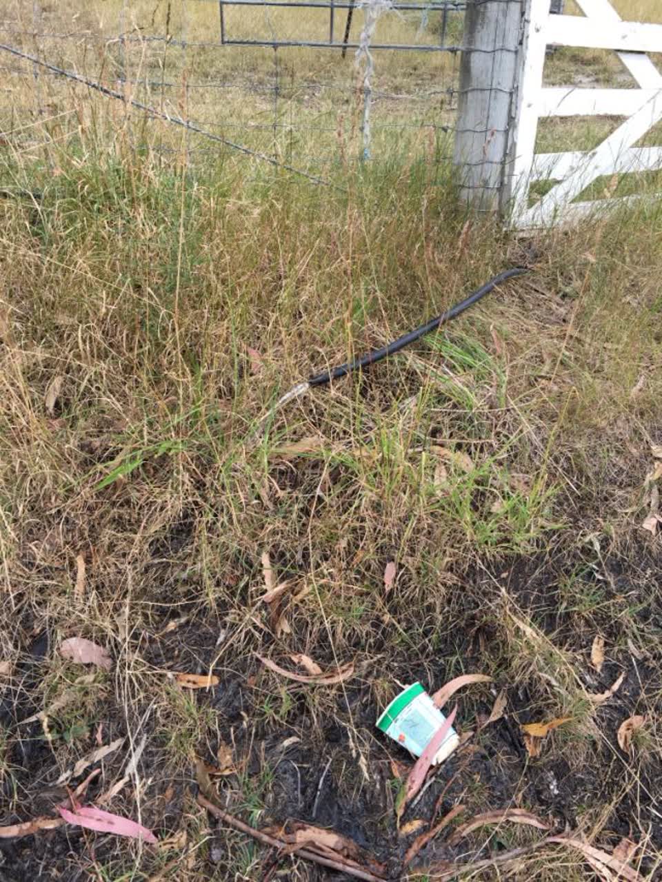 The photograph attached to this water supply report