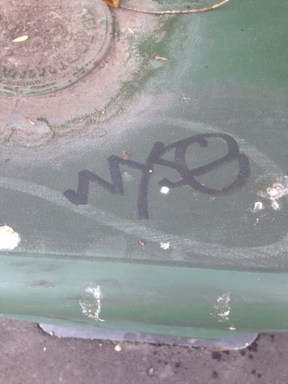 The photograph attached to this graffiti report