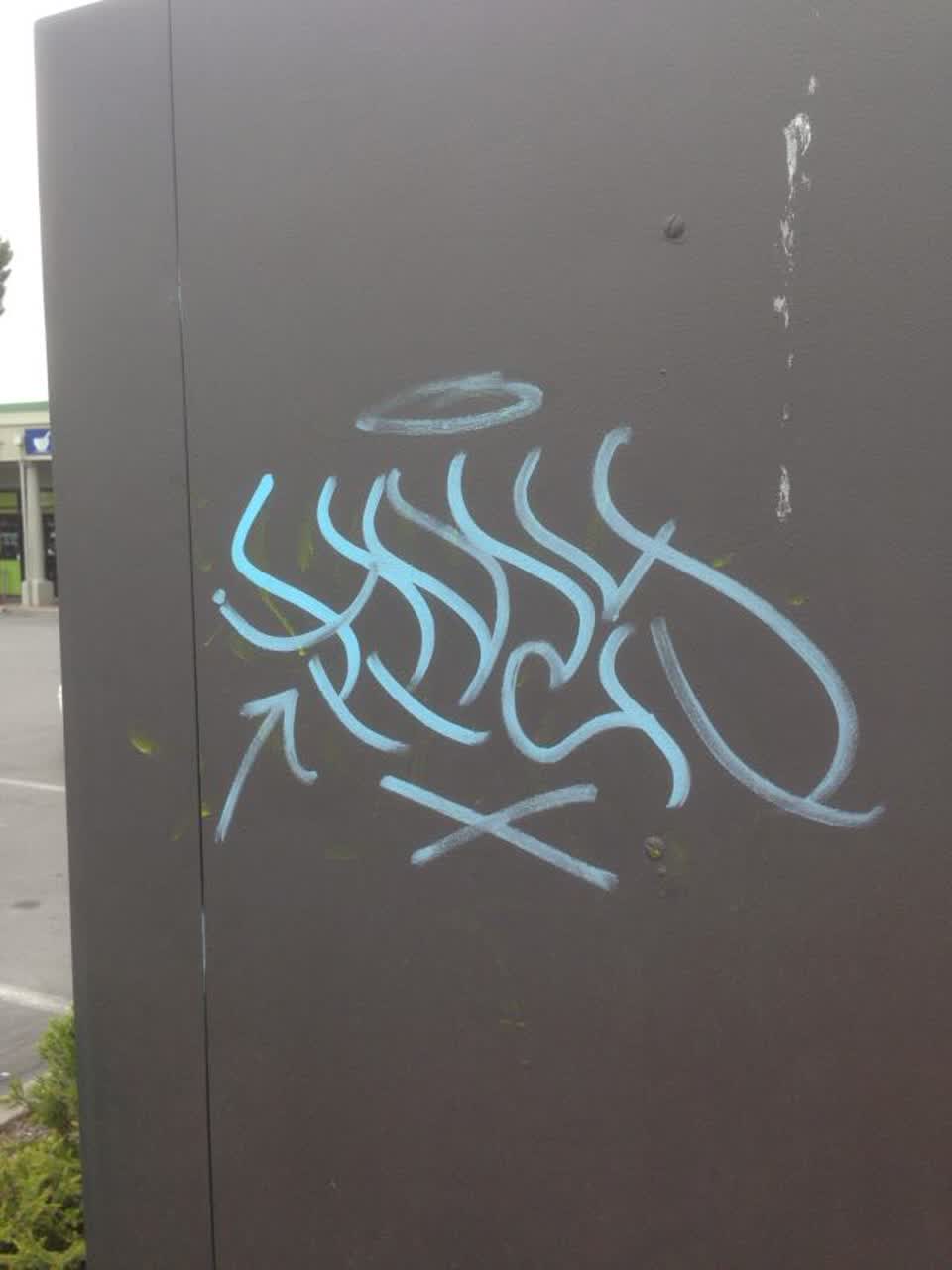The photograph attached to this graffiti report