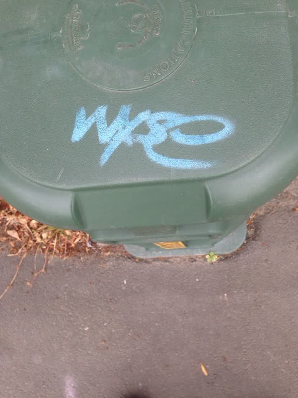 The photograph attached to this graffiti report
